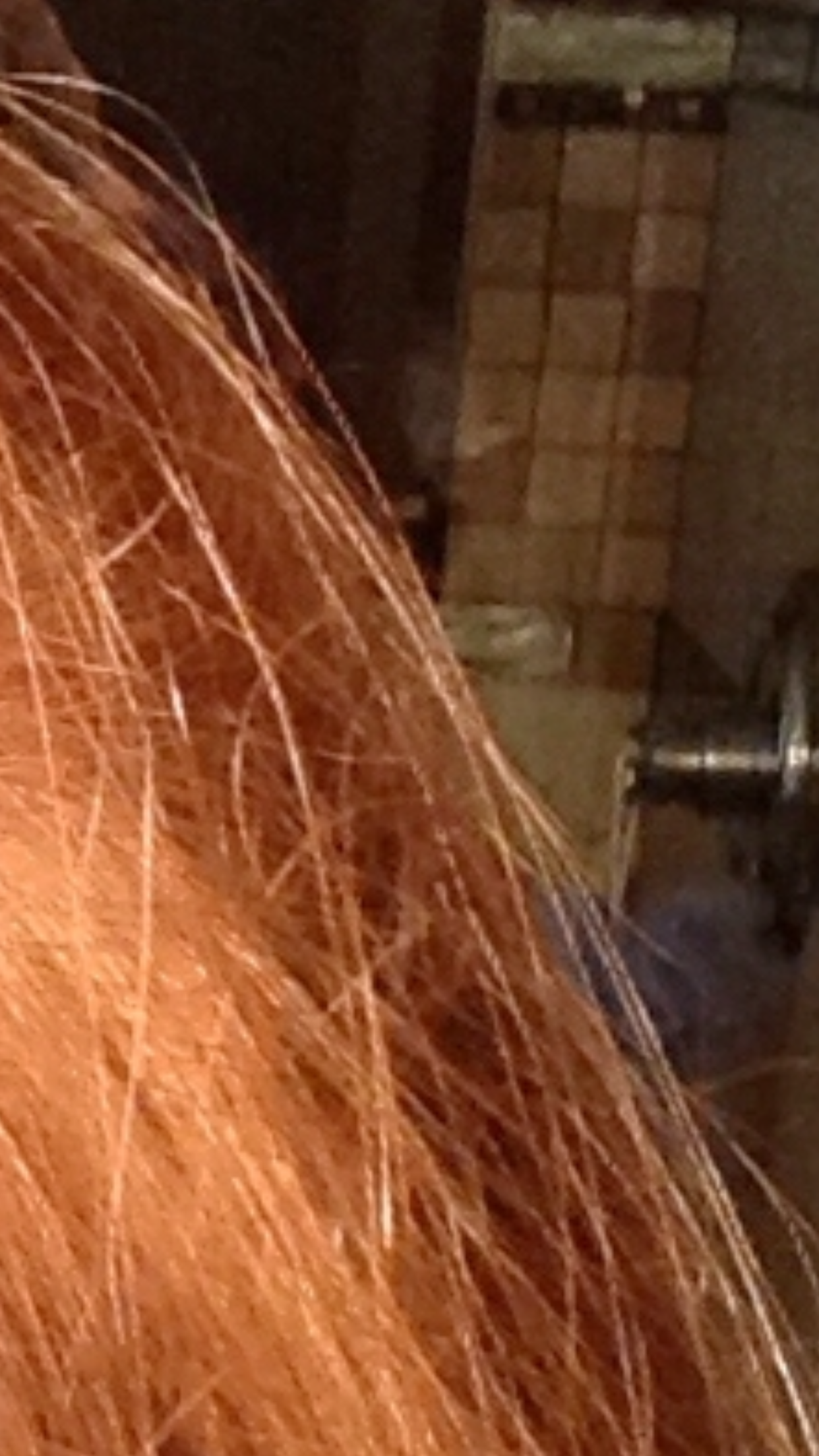 Shower (face) photo